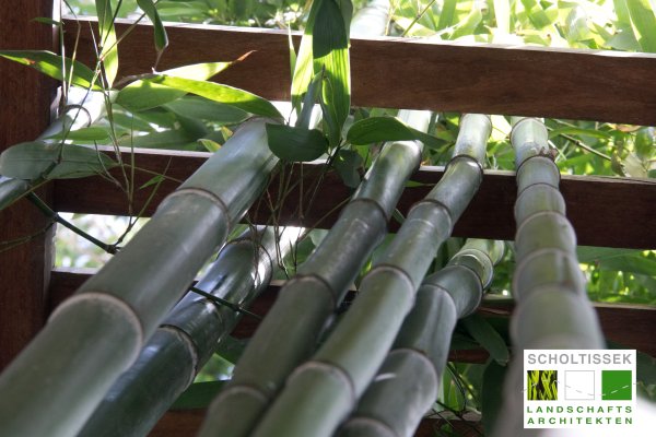 Foto konnte nicht geladen werden